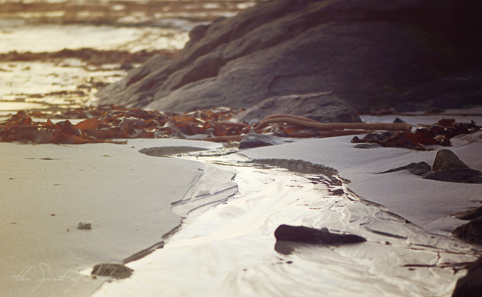 Der Fluss des Lebens