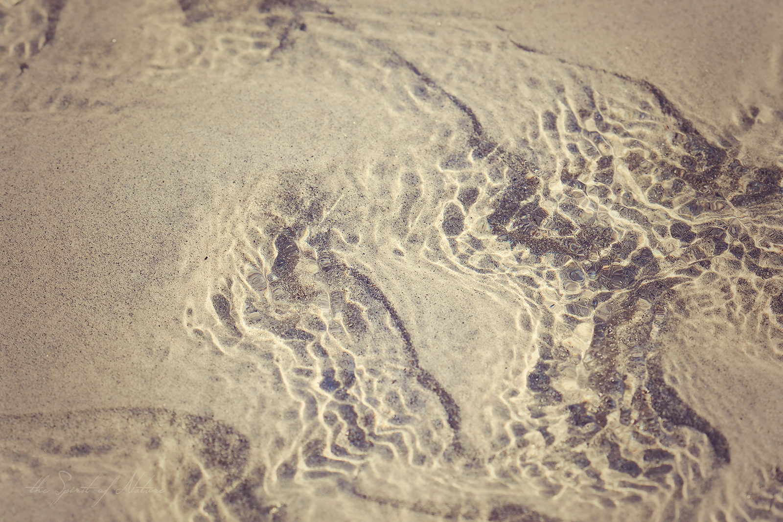 Ruhe finden, innehalten