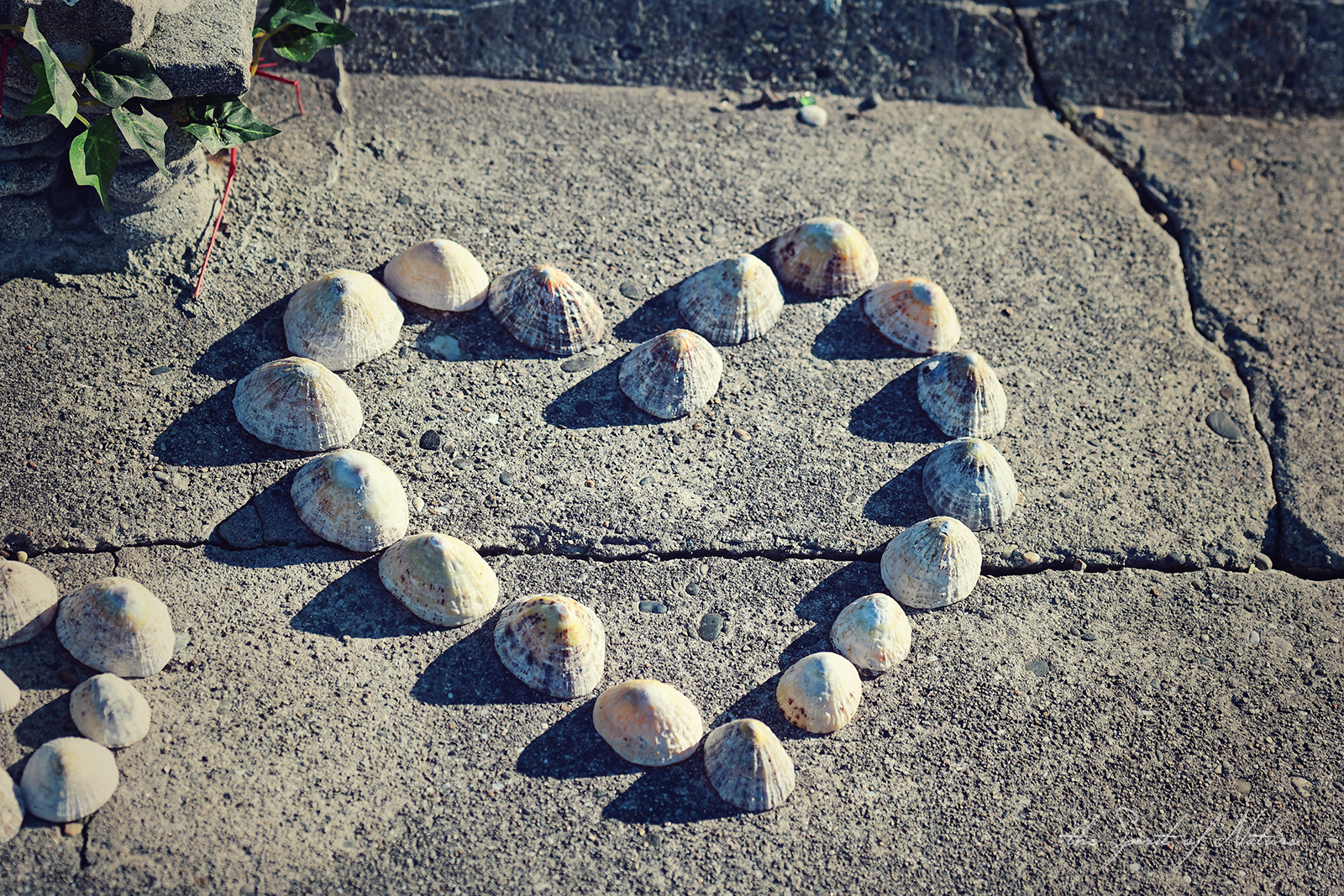 Leben bedeutet loslassen können