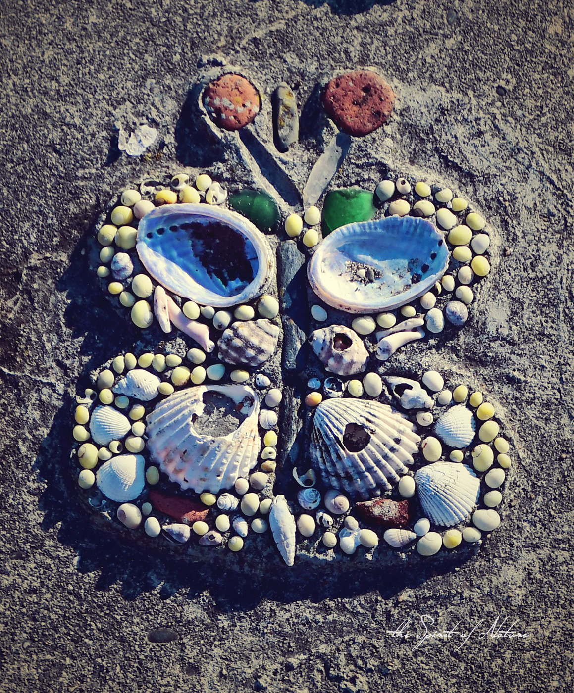 Leben bedeutet loslassen können