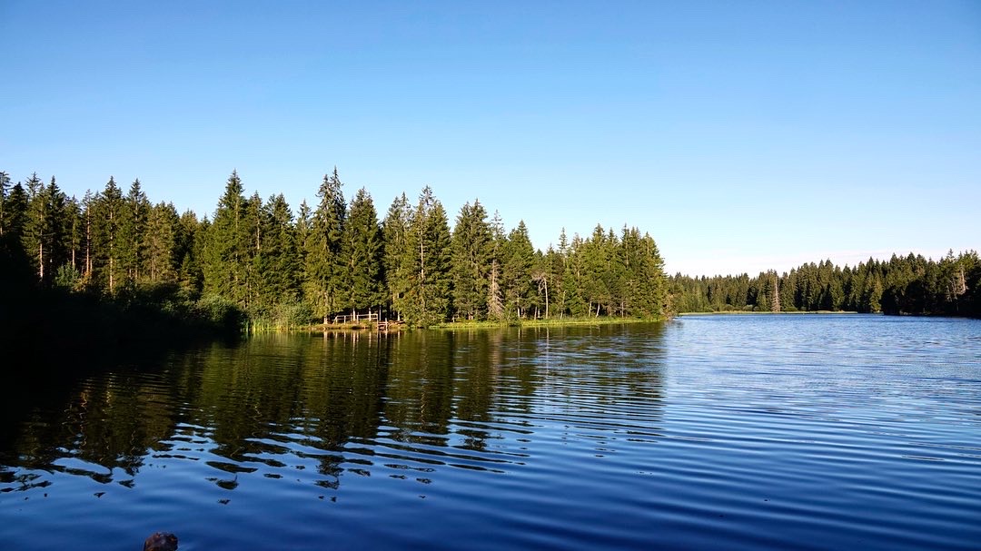 01441B56-D71C-4B58-8080-2114D0BFB0F5