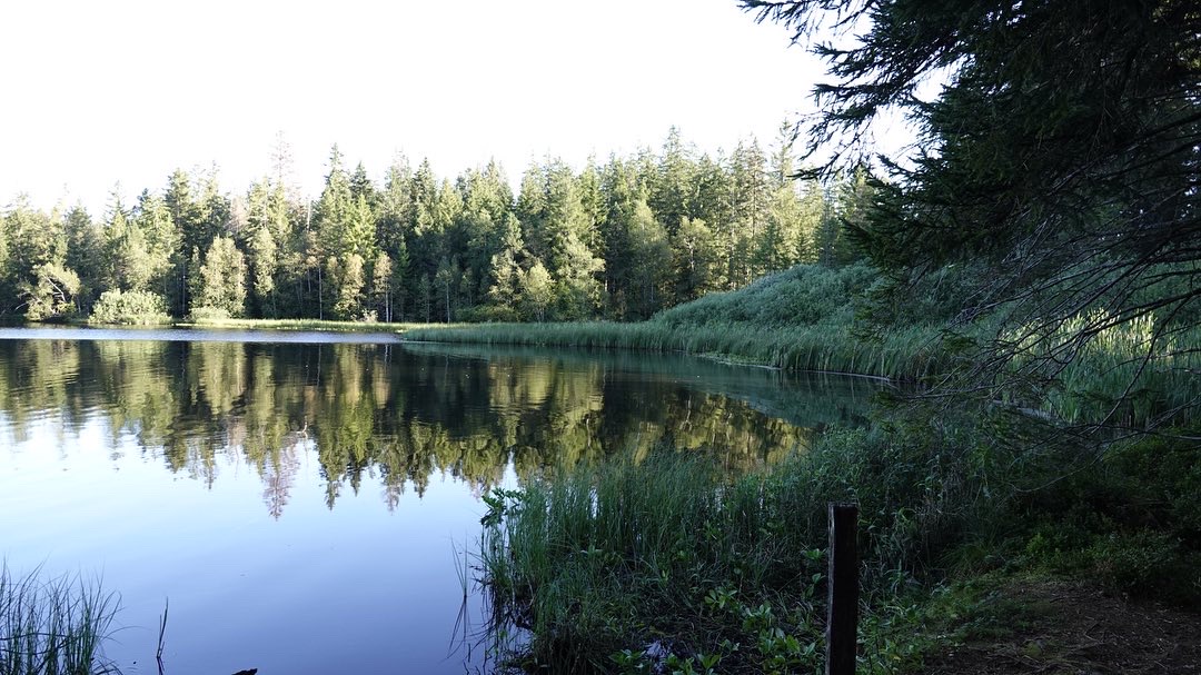 10388A6F-5CE1-4DA3-A2FD-E5BCE1D114EF