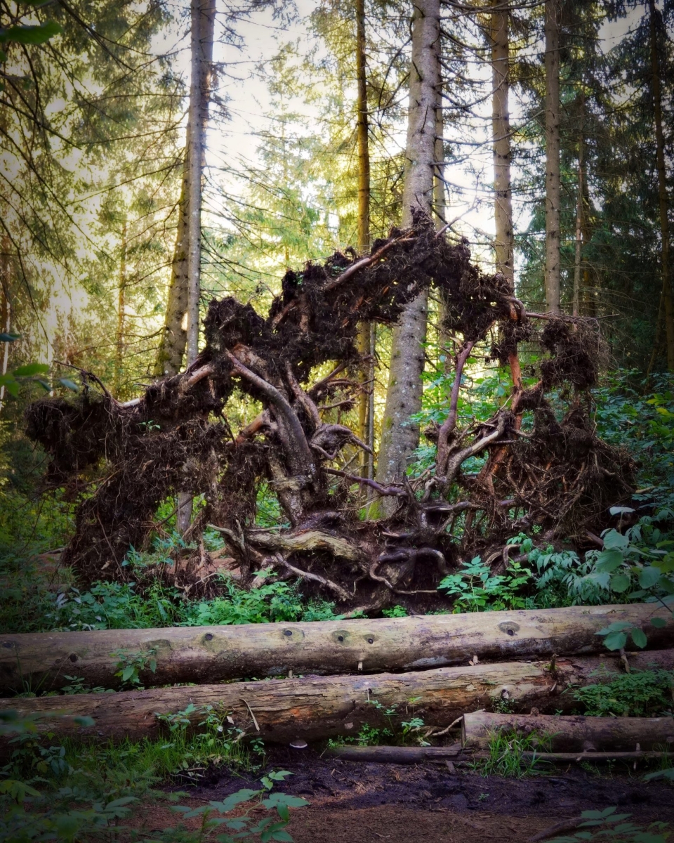 57578EAB-C1E2-434F-B8E1-A501FF9EDE1A