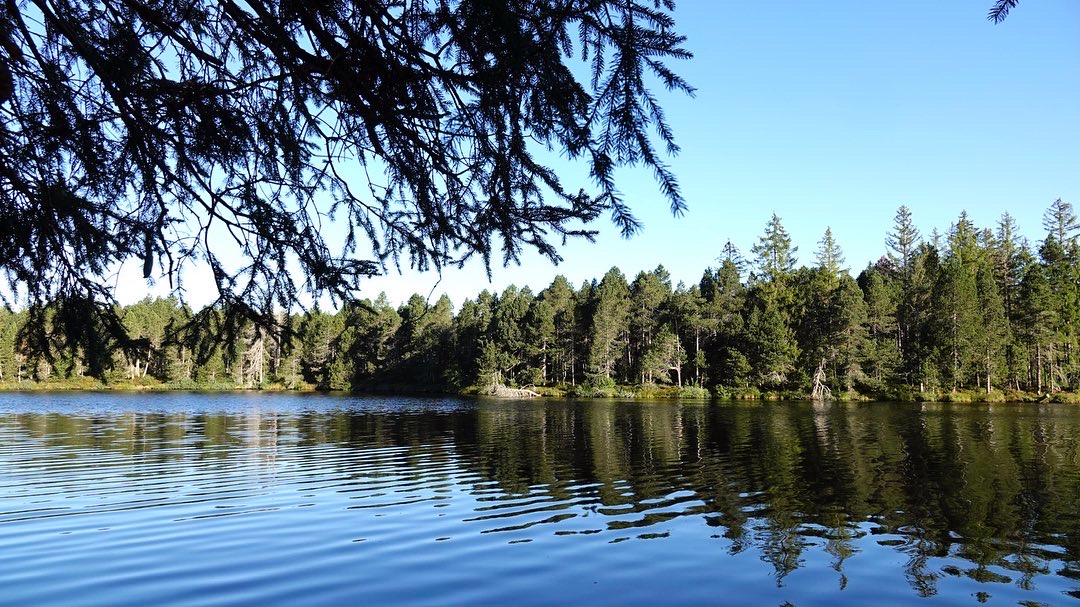 7BD03A77-A9FD-457D-BDC7-C04B2BB556AB