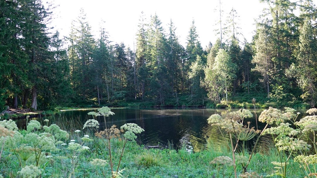 D4FF29E9-04BE-4A02-A41B-C1F24DE7A5DB