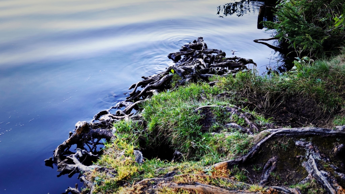 D660CA58-A739-42DE-99FE-7240788F8AD8